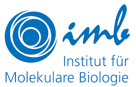 2017 IMB konferencija: Gene Regulation by the Numbers - Quantitative Approaches to Study Transcription