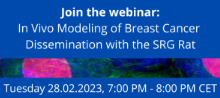In Vivo Modeling of Breast Cancer Dissemination with the SRG Rat